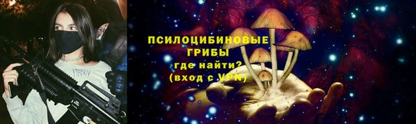 эйфоретик Пролетарск